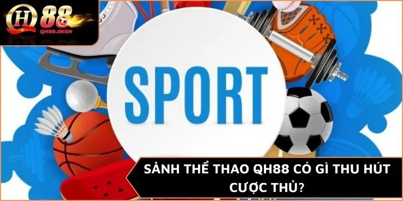 Sảnh thể thao QH88 có gì thu hút cược thủ?